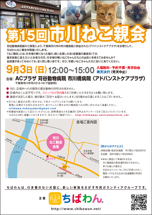 ichikawa15_poster