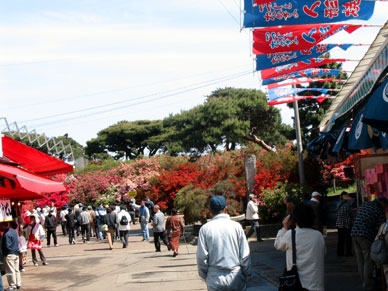 つつじが岡公園
