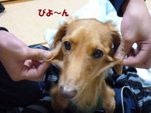 20121226_4 20121226_4