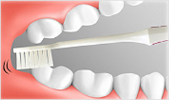 奥歯まで磨けるハブラシ、デンタルフロスを選びましょう