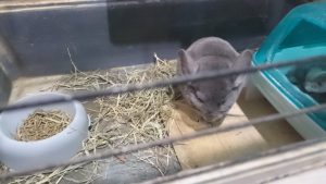 DSC_0001_1517818371189