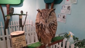 DSC_0022_1517818372934