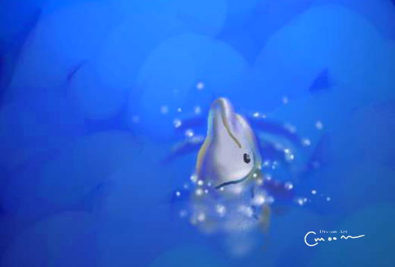 イルカの見る夢