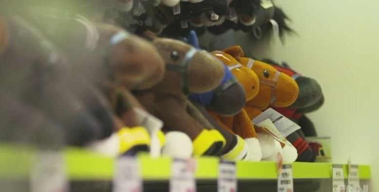 Japan loves horse racing. Almost 10 million people attended more than 17,800 national and local races in 2015 alone. But there is one thing that Japanese fans love almost as much as the horses themselves: Plush toy horses.