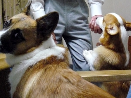 入り損ねた・・・