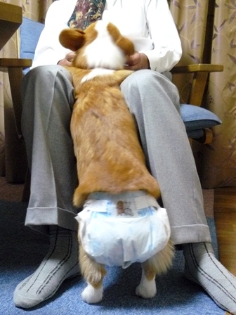 待ちかねたぞよー