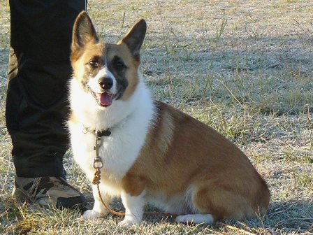 キラキラしてます！