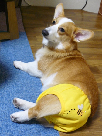 ゆったりマダム