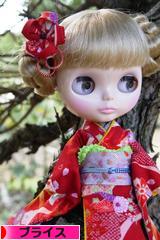 にほんブログ村 コレクションブログ ブライスへ