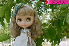 にほんブログ村 コレクションブログ ブライスへ
