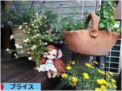 にほんブログ村 コレクションブログ ブライスへ