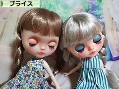にほんブログ村 コレクションブログ ブライスへ