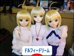 にほんブログ村 コレクションブログ ドルフィードリームへ