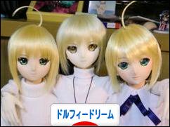 にほんブログ村 コレクションブログ ドルフィードリームへ