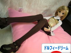 にほんブログ村 コレクションブログ ドルフィードリームへ