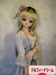 にほんブログ村 コレクションブログ ドルフィードリームへ