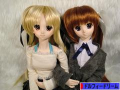 にほんブログ村 コレクションブログ ドルフィードリームへ