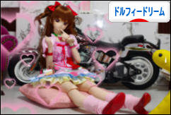 にほんブログ村 コレクションブログ ドルフィードリームへ