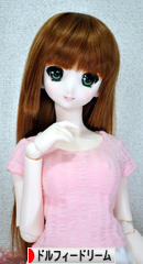 にほんブログ村 コレクションブログ ドルフィードリームへ