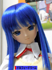 にほんブログ村 コレクションブログ ドルフィードリームへ