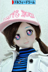 にほんブログ村 コレクションブログ ドルフィードリームへ