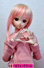 にほんブログ村 コレクションブログ ドルフィードリームへ