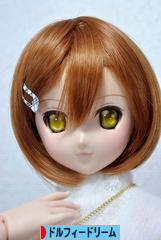 にほんブログ村 コレクションブログ ドルフィードリームへ