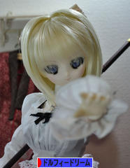 にほんブログ村 コレクションブログ ドルフィードリームへ