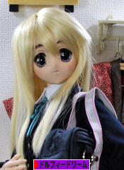 にほんブログ村 コレクションブログ ドルフィードリームへ