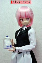 にほんブログ村 コレクションブログ ドルフィードリームへ