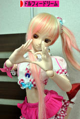 にほんブログ村 コレクションブログ ドルフィードリームへ