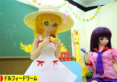 にほんブログ村 コレクションブログ ドルフィードリームへ