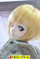 にほんブログ村 コレクションブログ ドルフィードリームへ