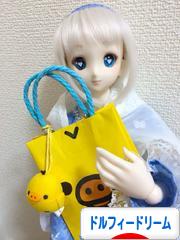 にほんブログ村 コレクションブログ ドルフィードリームへ