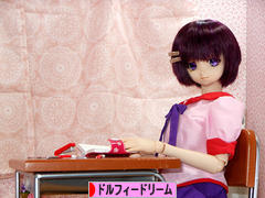 にほんブログ村 コレクションブログ ドルフィードリームへ