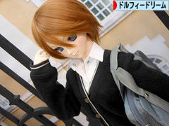 にほんブログ村 コレクションブログ ドルフィードリームへ