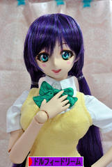 にほんブログ村 コレクションブログ ドルフィードリームへ