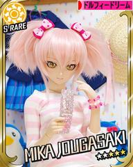 にほんブログ村 コレクションブログ ドルフィードリームへ