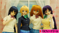 にほんブログ村 コレクションブログ ドルフィードリームへ