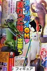 にほんブログ村 コレクションブログ フィギュアへ