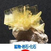 にほんブログ村 コレクションブログ 鉱物・岩石・化石へ