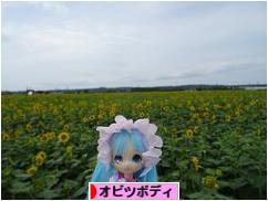 にほんブログ村 コレクションブログ オビツボディへ