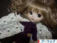 にほんブログ村 コレクションブログ プーリップ・テヤン・ダルへ