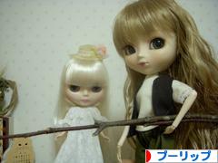 にほんブログ村 コレクションブログ プーリップ・テヤン・ダルへ