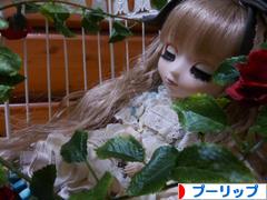 にほんブログ村 コレクションブログ プーリップ・テヤン・ダルへ