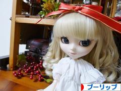 にほんブログ村 コレクションブログ プーリップ・テヤン・ダルへ