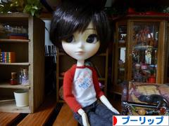 にほんブログ村 コレクションブログ プーリップ・テヤン・ダルへ