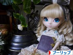 にほんブログ村 コレクションブログ プーリップ・テヤン・ダルへ