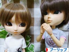 にほんブログ村 コレクションブログ プーリップ・テヤン・ダルへ