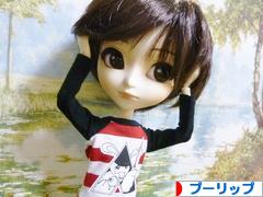 にほんブログ村 コレクションブログ プーリップ・テヤン・ダルへ